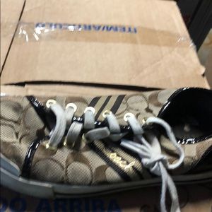 Coach sneakers